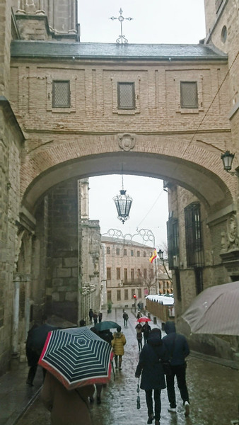 £ó2018-01-06¡¡£µÆüÌÜ¡¡5¥È¥ì¥É»ÔÆâ ¡¡¡¡ (10)