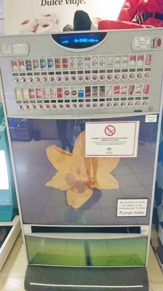 £ó2018-01-05 £´ÆüÌÜ¡¡£±°Üư (4)