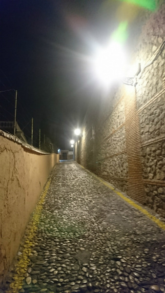 £ó2018-1·î¡¡£³ÆüÌÜ8Ìë¤Î¥¢¥ë¥Ï¥ó¥Ö¥éµÜÅ (9)