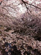 2011_Hana2b