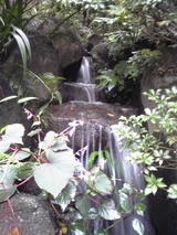yakushi-7a