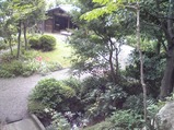 yakushi-5