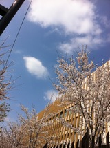 2011_Hana2a