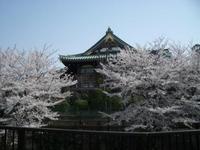 200604-3