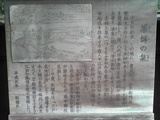yakushi-1