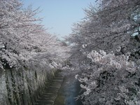 200604-1