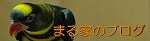 バナー 姫