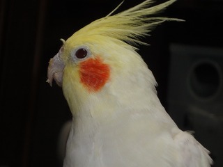 DSC01982