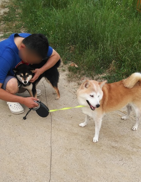 Point Blur_20180617_202852