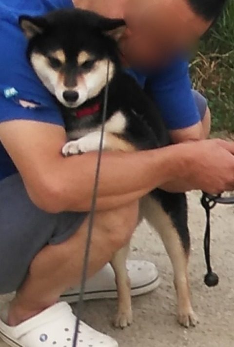 Point Blur_20180617_202758