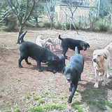 Pht0503151027.jpg
