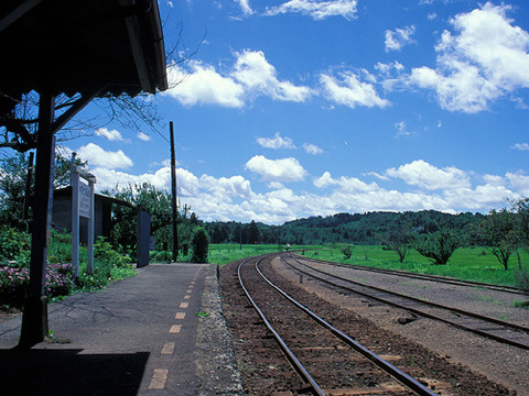 31cf6ca7.jpg