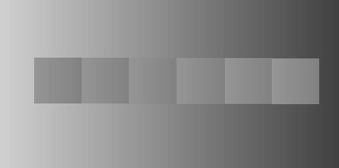 deeec5d6.jpg