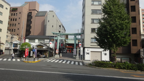 DSC06571