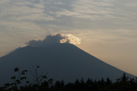 DSC02459