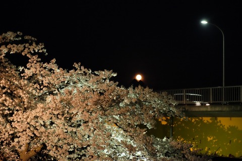 DSCF0065