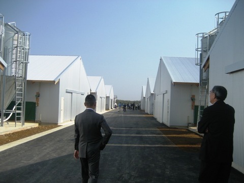 a6722da1.jpg