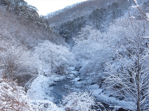 DSCF8207_R