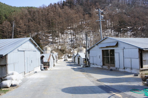 DSC02355