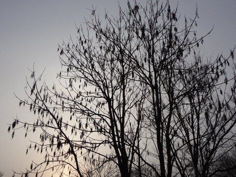 DSC00109-1