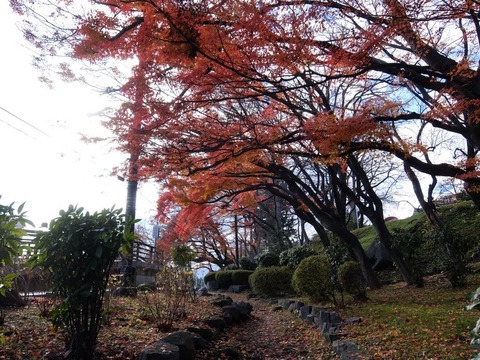 4-DSCF2735