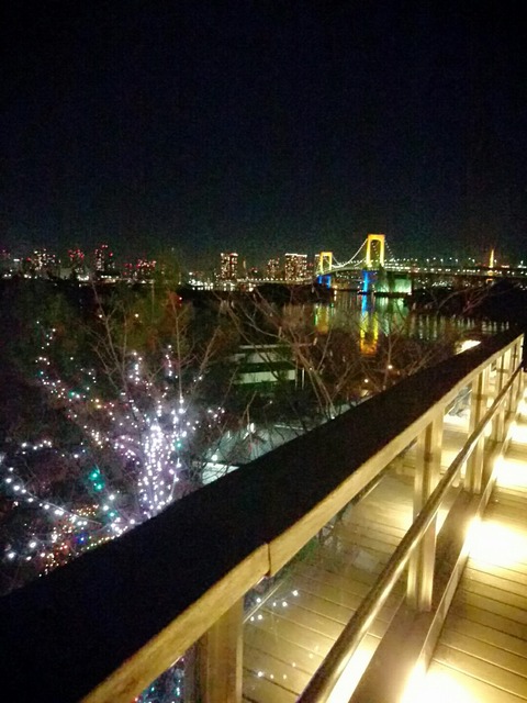 Xmas❤_9524