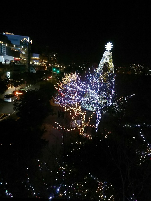 Xmas❤_1068