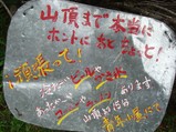 DSC02729