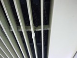 2f75447c.jpg