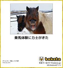 images (1)