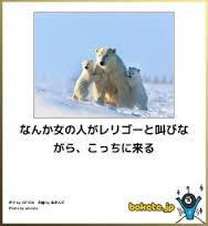 images (3)