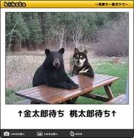 images (3)