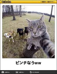 images (1)