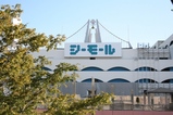 �����⡼�볰��