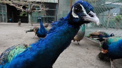 th_DSC00139
