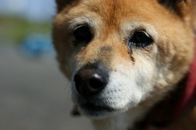 th_DSC02150