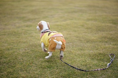th_DSC05066