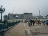 tdl2