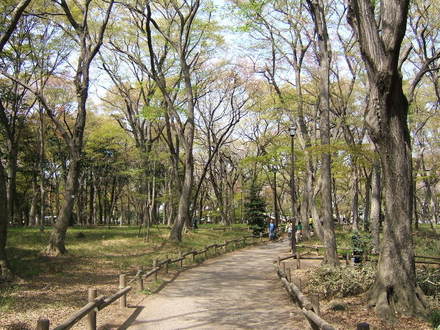 4月吉祥寺