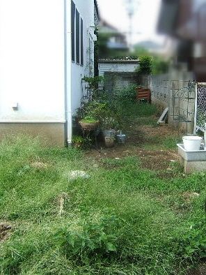 放りっぱなし・・・