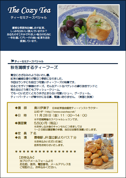 2014年11月28日フライヤーブログ用