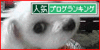 br_decobanner_ひめ