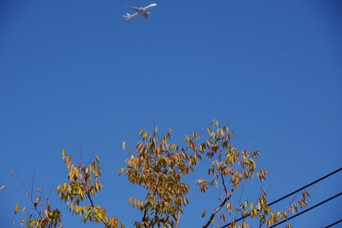 IMGP3784