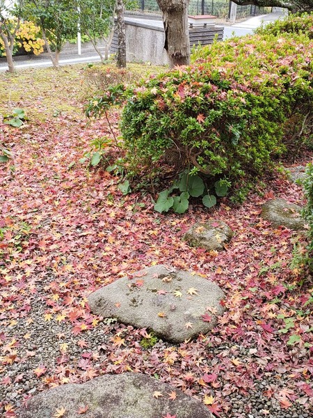 20181128_093620