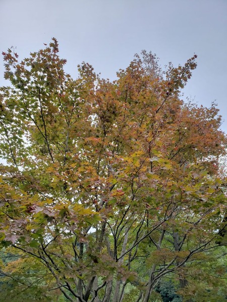 20181016_150312