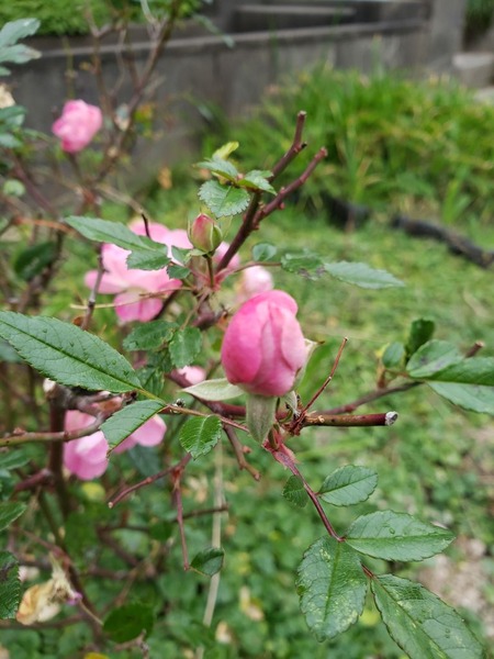 20190101_142545
