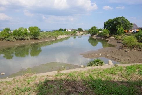 IMGP2553