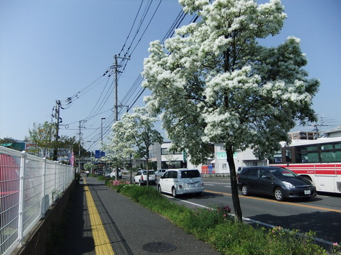DSCF0432