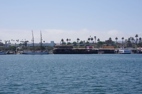 IMGP6849