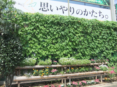 DSCF0580